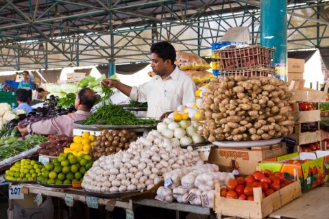 Central Market Project and Vegetable Market in Bani Yas